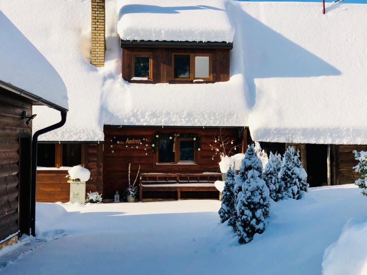Andrea- neakceptujeme mladé partie Villa Terchová Exterior foto